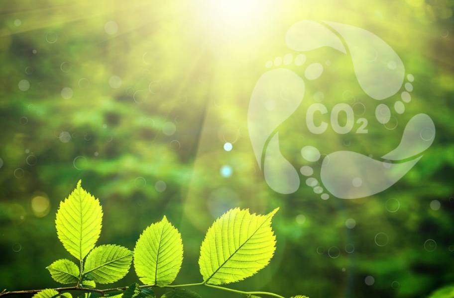 Proyectos de Mitigación Proyectos de Mitigación